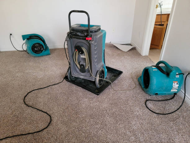 Best Water damage restoration mold remediation  in Spring Lake Heights, NJ