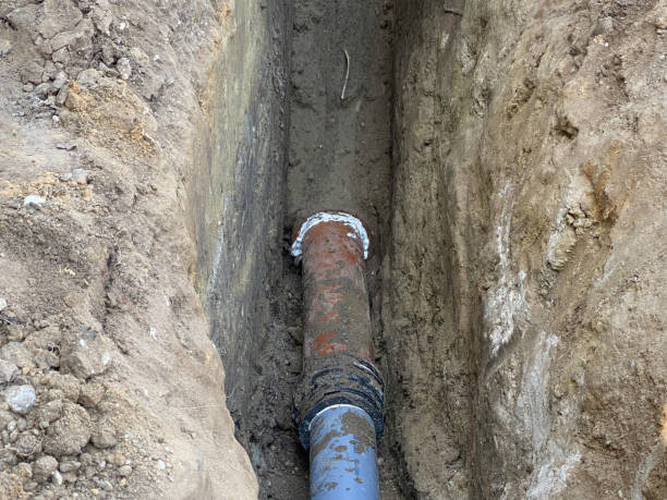 Best Flood restoration services  in Spring Lake Heights, NJ