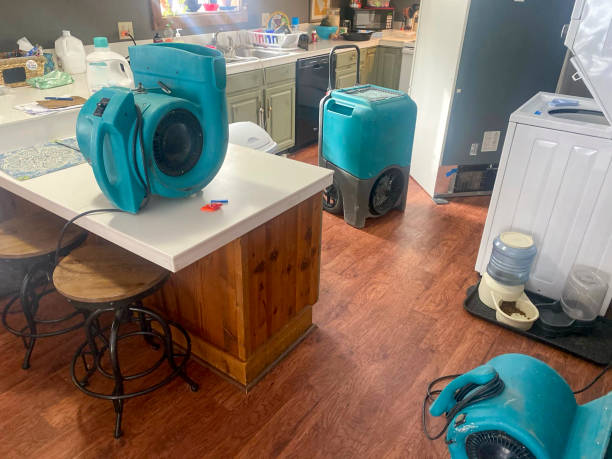 Best Local water damage restoration  in Spring Lake Heights, NJ