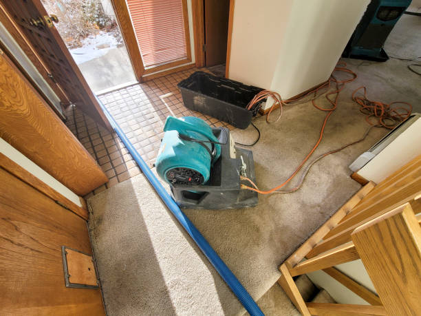 Best Water damage restoration process  in Spring Lake Heights, NJ