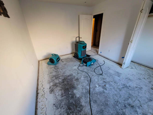 Best Mold removal after water damage  in Spring Lake Heights, NJ