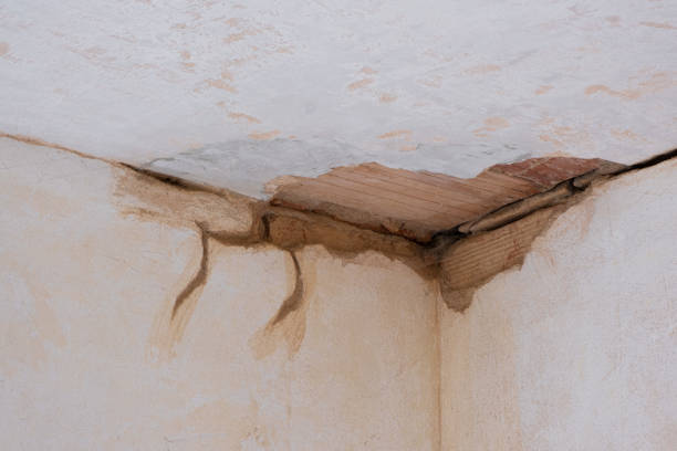 Best Commercial water damage restoration  in Spring Lake Heights, NJ