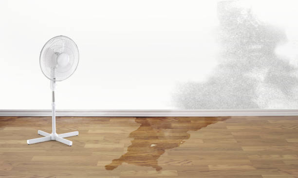 Best Water damage cleanup near me  in Spring Lake Heights, NJ