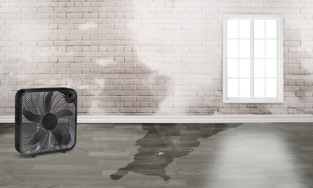  Spring Lake Heights, NJ Water damage restoration Pros