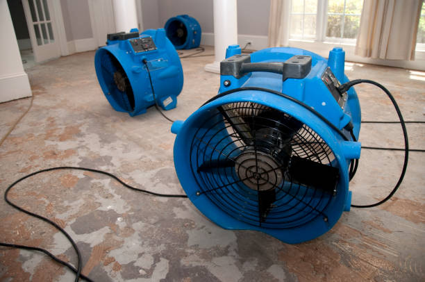 Best Professional water damage repair  in Spring Lake Heights, NJ