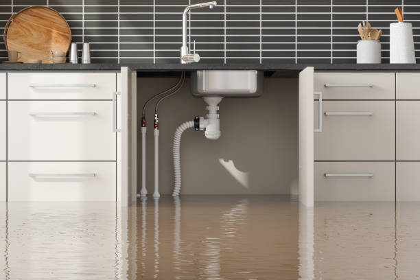 Best Professional water damage repair  in Spring Lake Heights, NJ