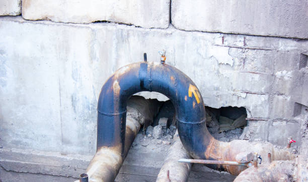 Best Water damage cleanup near me  in Spring Lake Heights, NJ