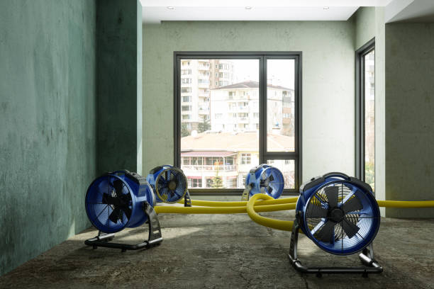 Best Ceiling water damage repair  in Spring Lake Heights, NJ